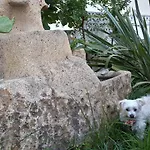 Le Onde * Pefkochori