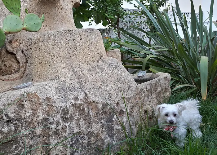 Le Onde * Pefkochori